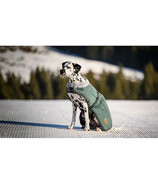Cappotto invernale per cani Gizmo con pelliccia, 200 g