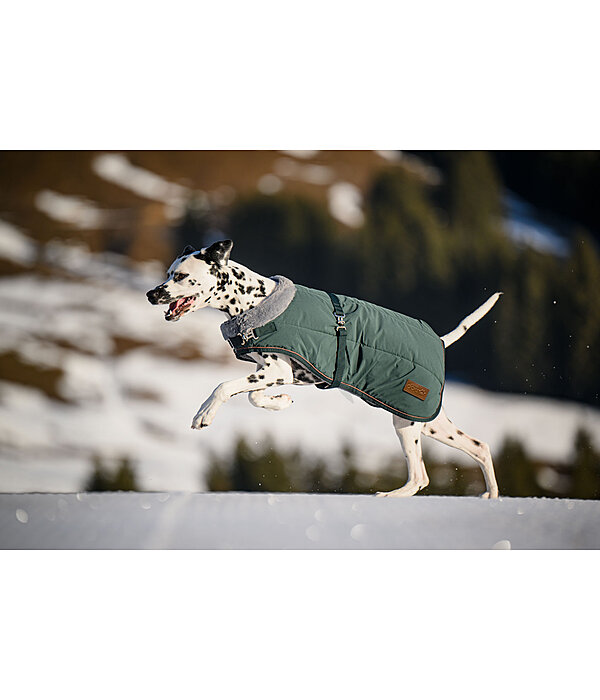 Cappotto invernale per cani Gizmo con pelliccia, 200 g