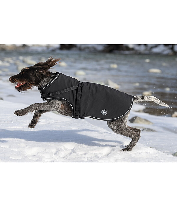 Cappotto in softshell per cani Cruz con pettorina integrata, 160 g