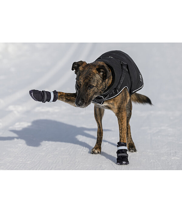 Scarpette protettive per cani Antarctica Kramer Equitazione