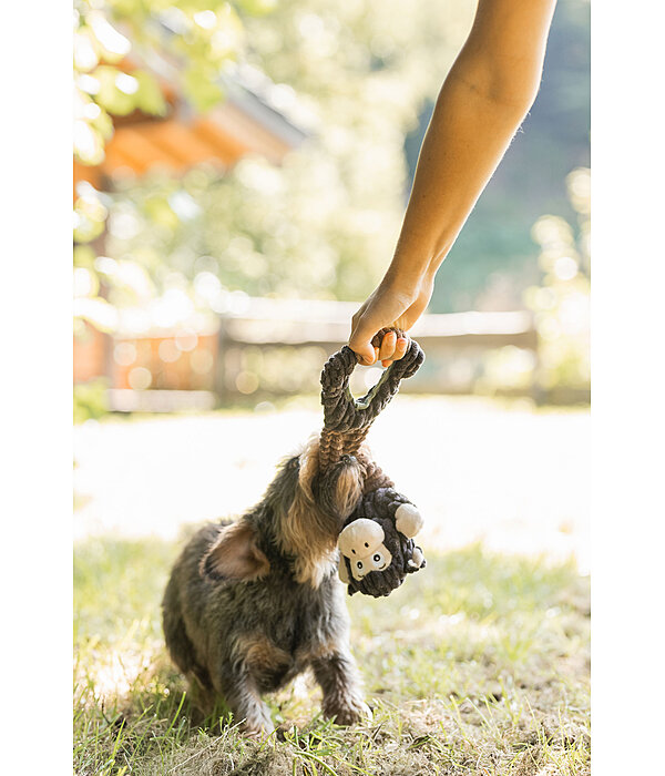 Peluche per cani Bounce