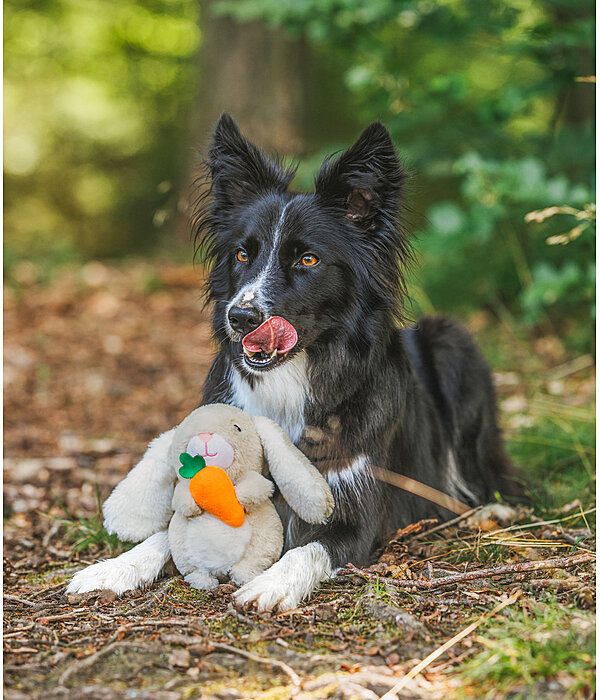 Peluche per cani Bunny