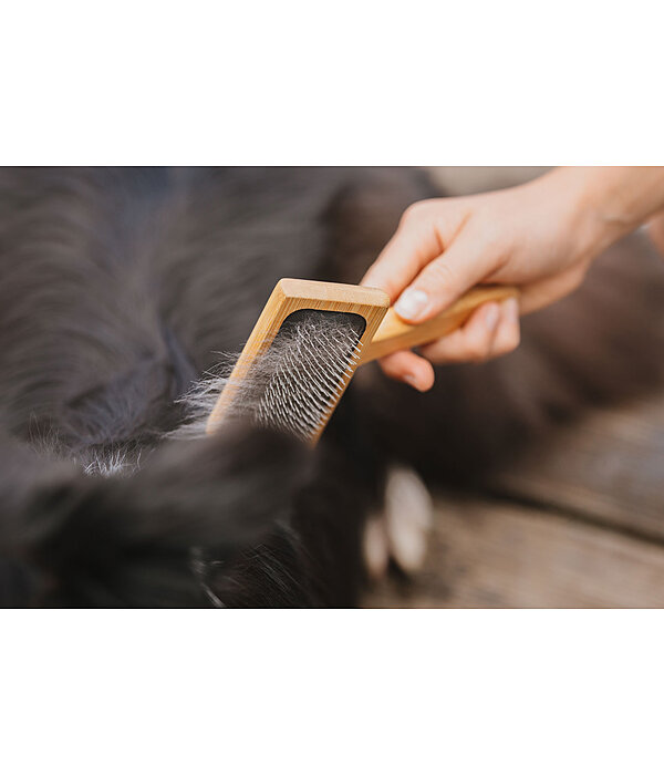 Cardatore per cani Woody