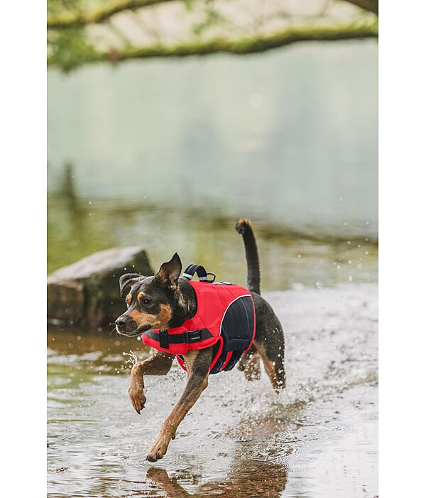 Giubbotto salvagente per cani Life Guard