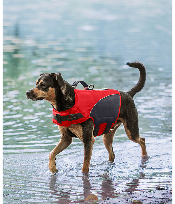 Giubbotto salvagente per cani Life Guard