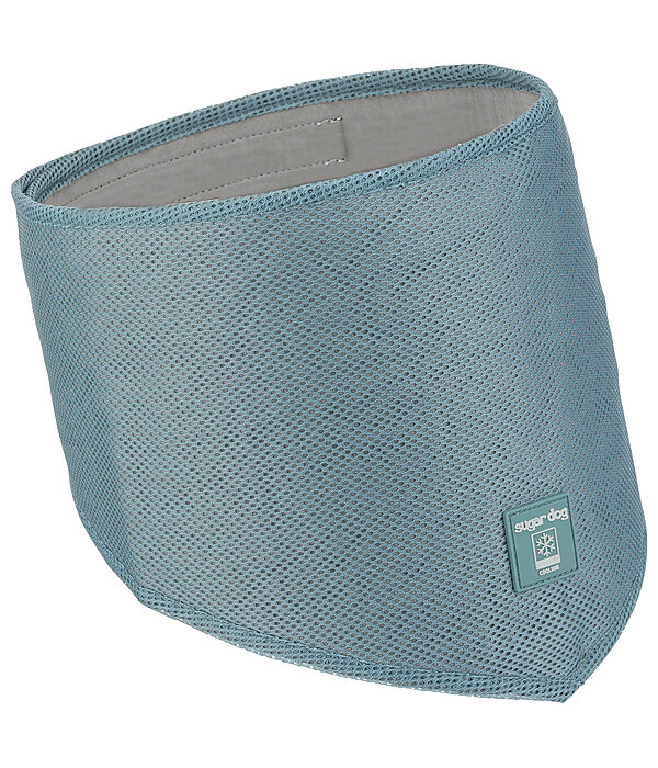 Bandana per cani Cooling