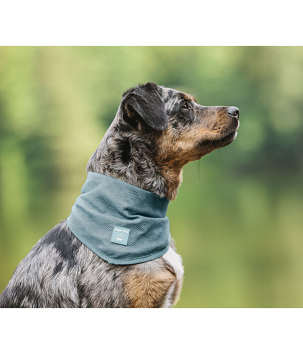 Bandana per cani Cooling
