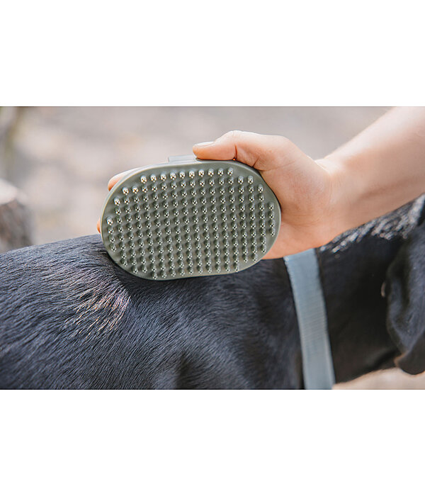 Striglia per cani Zeyna