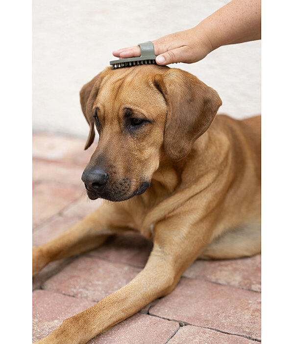 Striglia per cani Zeyna