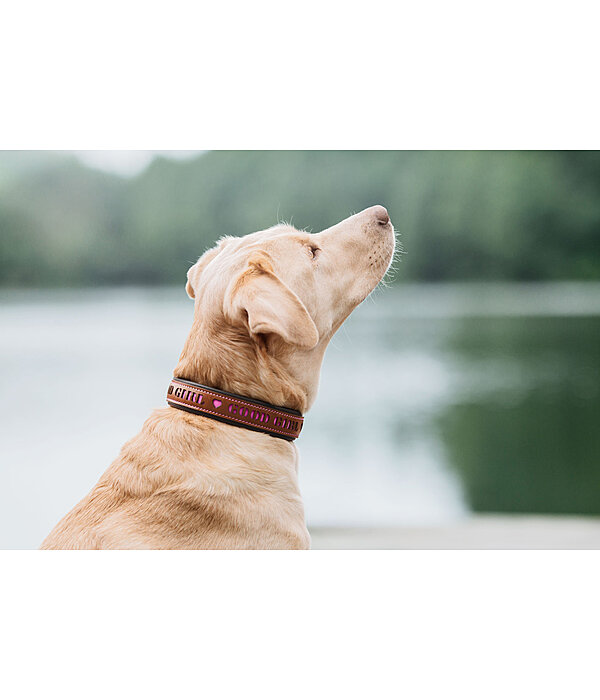 Collare in cuoio Good Dog