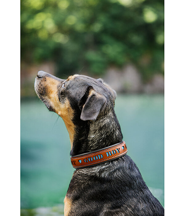 Collare in cuoio Good Dog