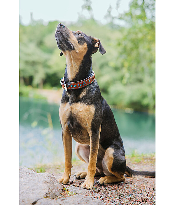 Collare in cuoio Good Dog