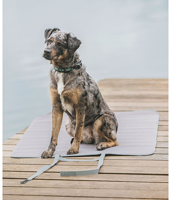 Tappetino portatile per cani Summer