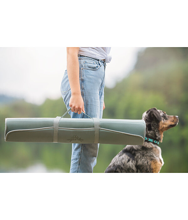 Tappetino portatile per cani Summer