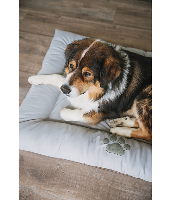 Cuccia in pelle sintetica per cani Gioia
