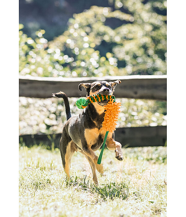 Giocattolo per cani Agi