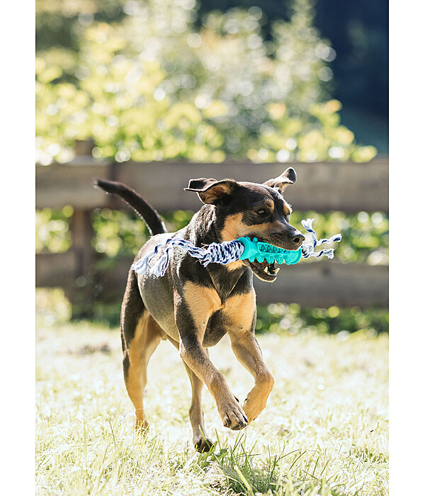 Giocattolo da masticare per cani Anny