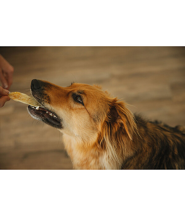 Orecchie di coniglio per cani
