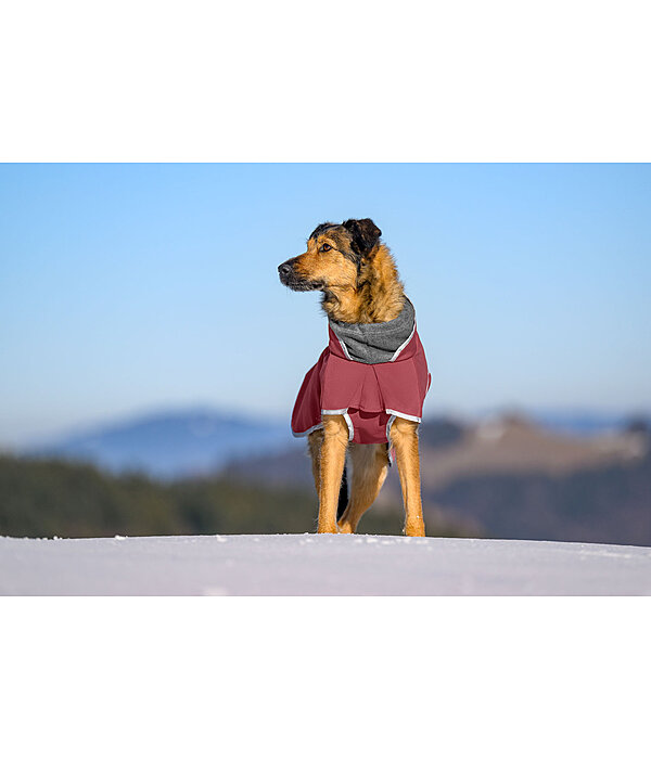 Cappotto in softshell per cani con colletto in pile Frida