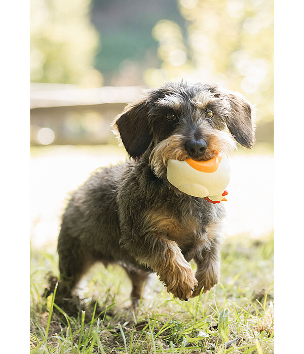 Giocattolo con squeaker per cani Chicken