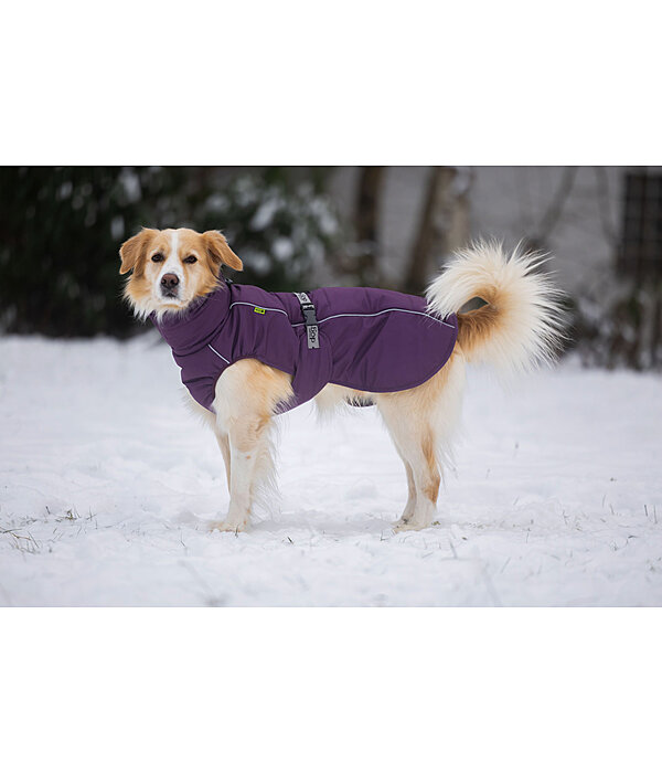 Cappotto invernale per cani Marlon, 200-300 g