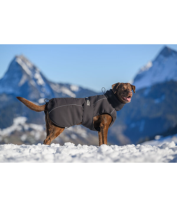 Cappotto invernale per cani Marlon, 200-300 g