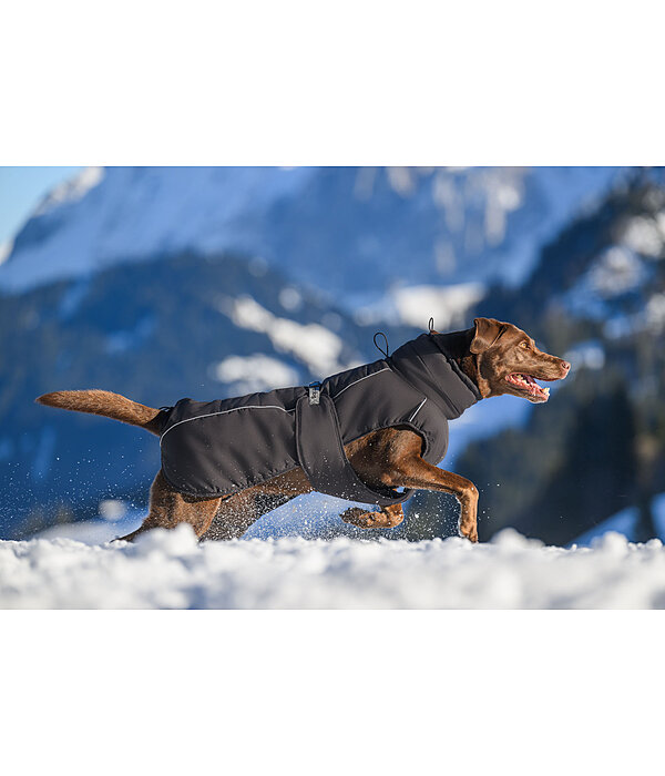 Cappotto invernale per cani Marlon, 200-300 g
