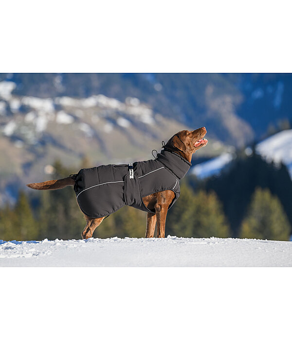 Cappotto invernale per cani Marlon, 200-300 g