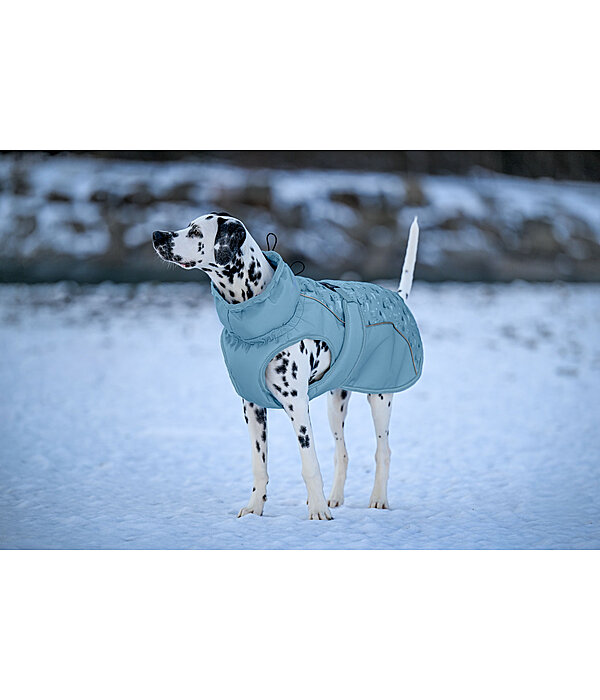 Cappotto invernale per cani Wonderland, 140 g