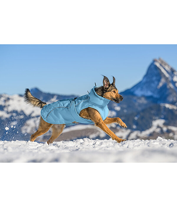 Cappotto invernale per cani Wonderland, 140 g