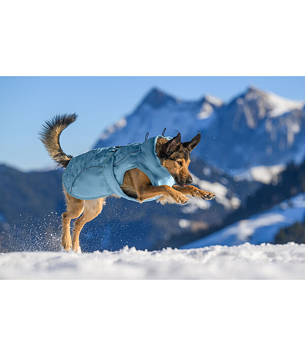 Cappotto invernale per cani Wonderland, 140 g