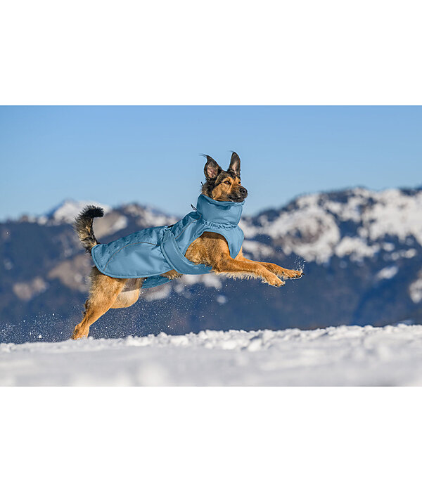 Cappotto invernale per cani Wonderland, 140 g