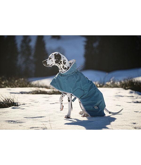 Impermeabile per cani Winter Islands, 160 g