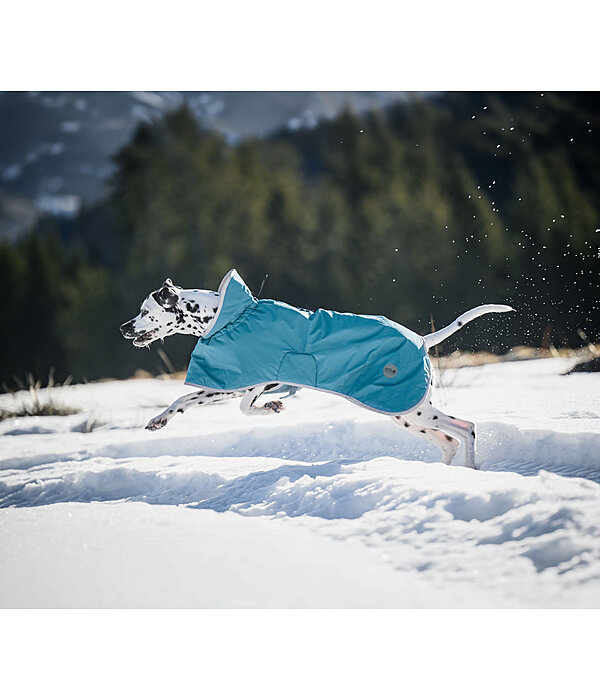 Impermeabile per cani Winter Islands, 160 g