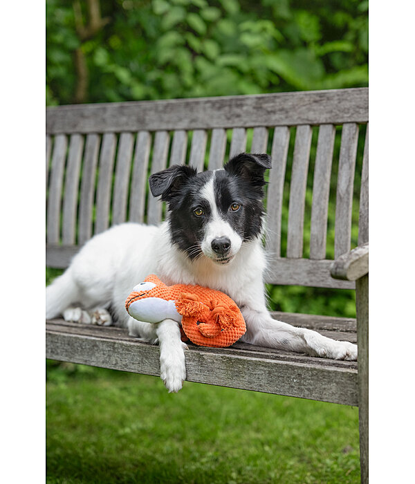 Giocattolo per cani Chameleon
