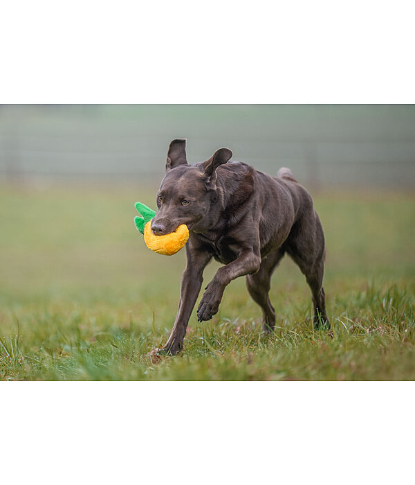 Giocattolo per cani Pineapple