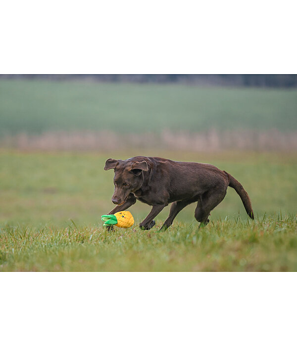 Giocattolo per cani Pineapple