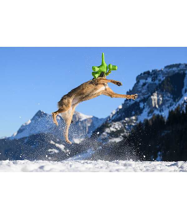 Giocattolo per cani Strong Dino