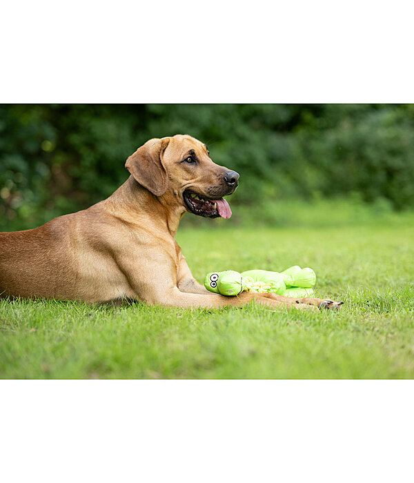 Giocattolo per cani Strong Dino