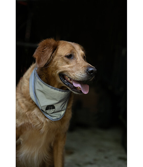 Bandana riflettente per cani