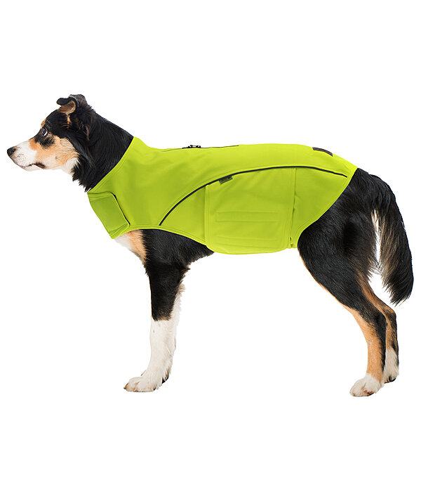 Gilet di sicurezza riflettente per cani