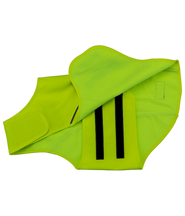 Gilet di sicurezza riflettente per cani