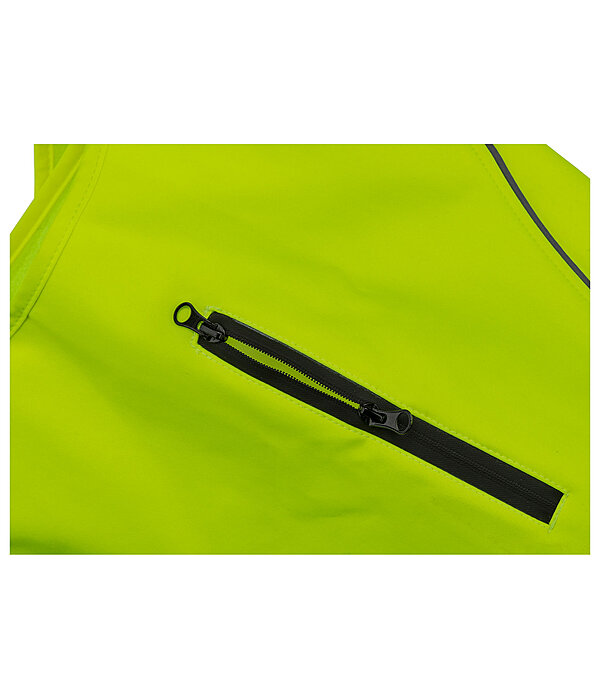 Gilet di sicurezza riflettente per cani