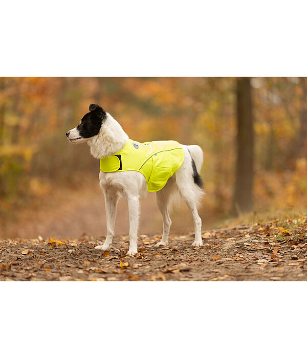 Gilet di sicurezza riflettente per cani