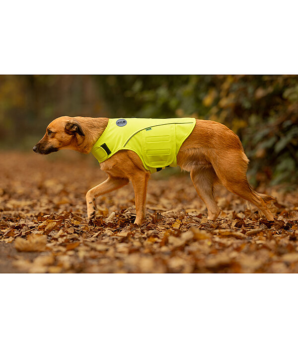 Gilet di sicurezza riflettente per cani