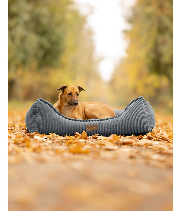 Cuccia per cani Cord