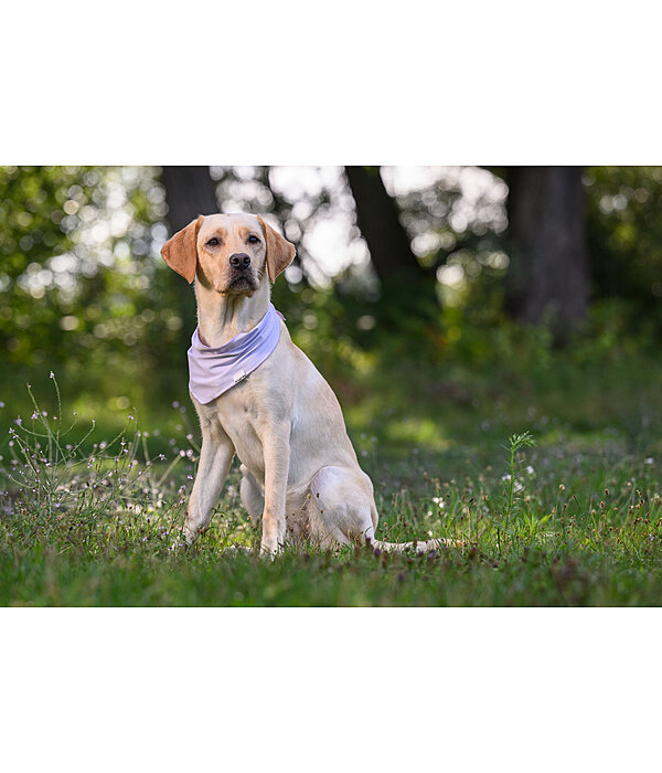 Bandana rinfrescante Frostie