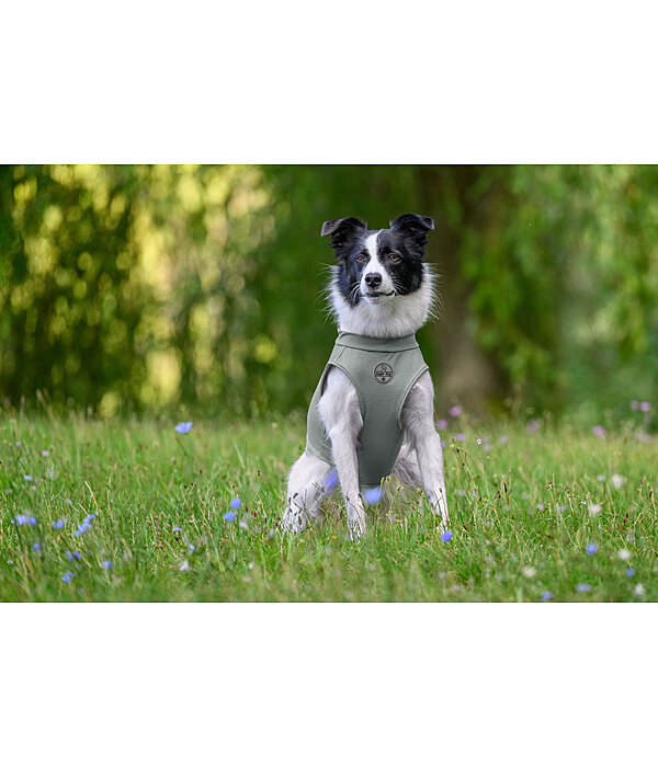 T-shirt rinfrescante per cani Frostie