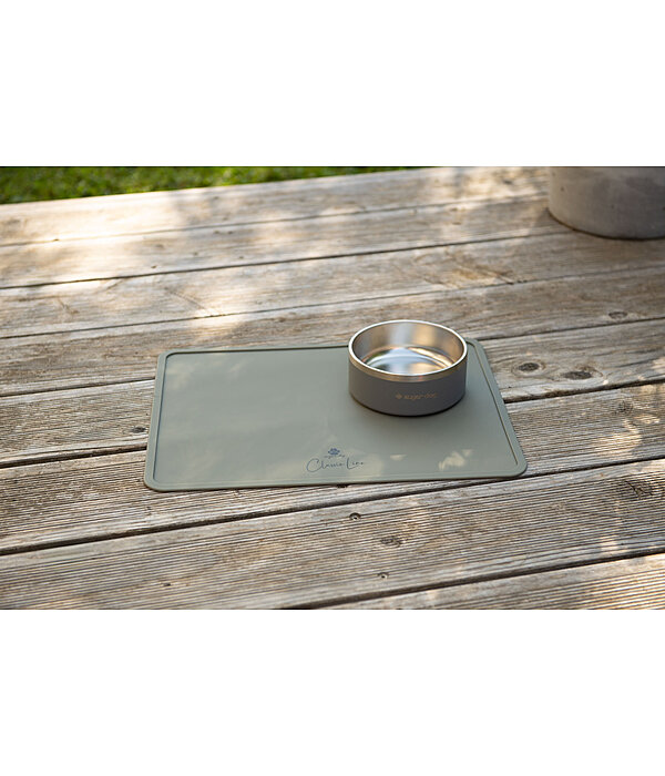 Ciotola per cani in acciaio inox