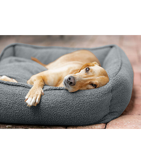 Cuccia per cani Square